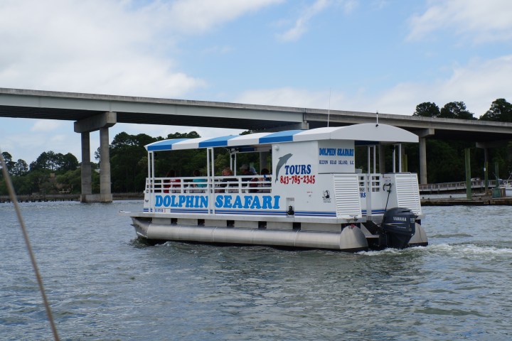 Dolphin Seafari Boat in Water Under Bridge