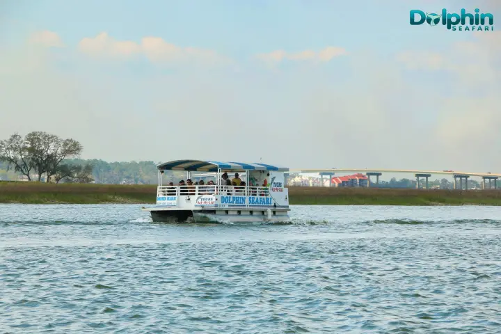 Dolphin Seafari Boat along HHI salt marsh