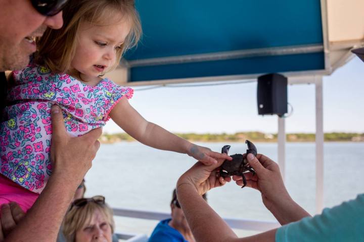 Kid touching the shell of a Crab on a Hilton Head Boat Tour