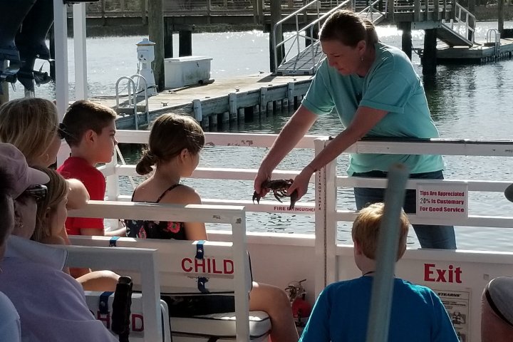 Boat Tour Guide showing Kids HHI Crabs