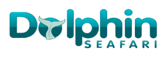 Dolphin Seafari