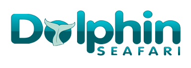 Dolphin Seafari